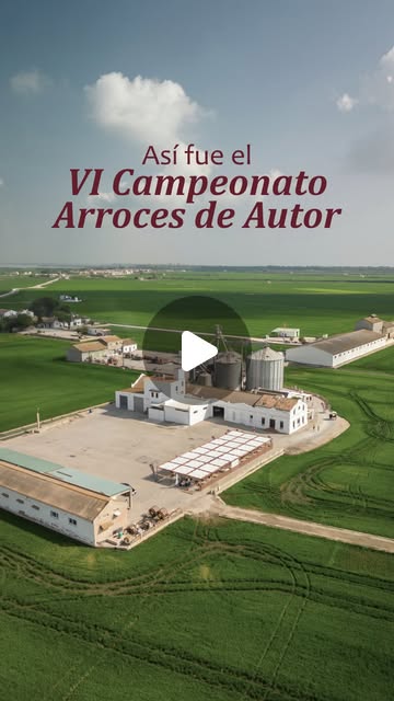 Reel de Arroz Tartana 2