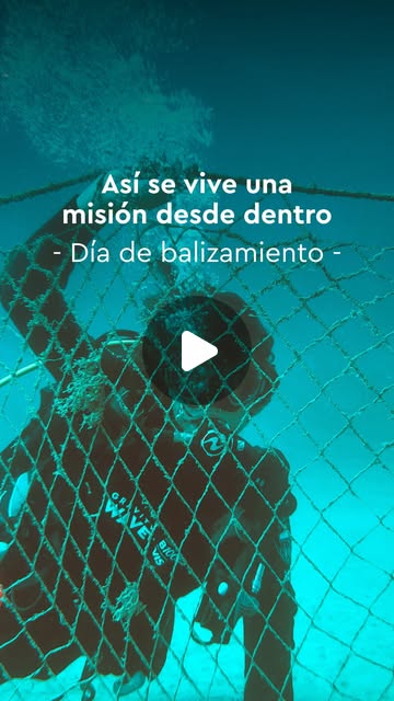 Reel de Gravity Wave 1