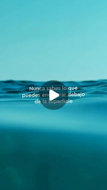 Reel de Gravity Wave 2